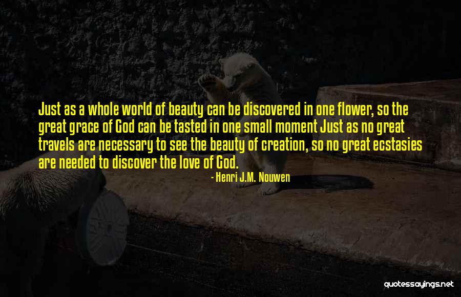 Beauty Of Small Flower Quotes By Henri J.M. Nouwen Beauty Of Small Flower Quotes By Henri J.M. Nouwen