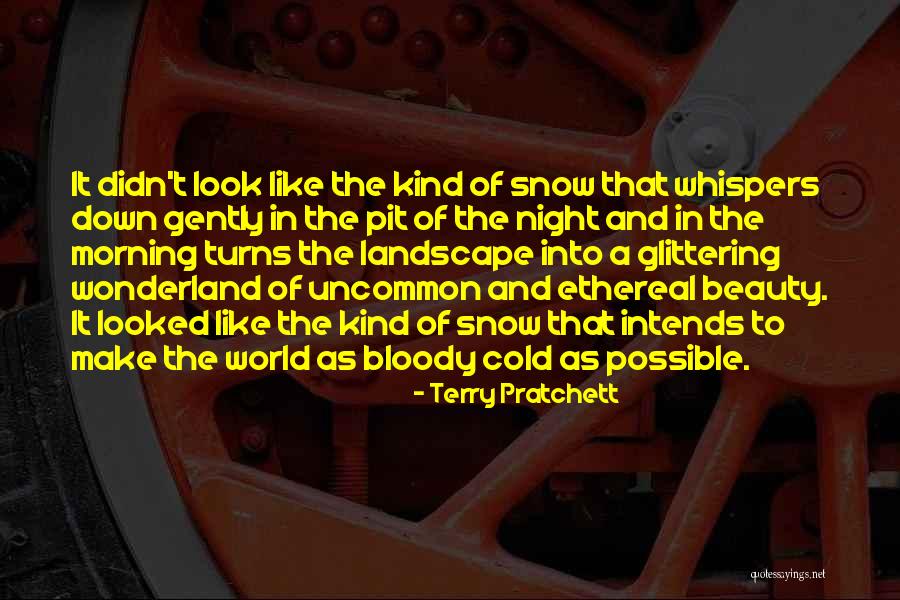 Beauty Of Snow Quotes By Terry Pratchett Beauty Of Snow Quotes By Terry Pratchett