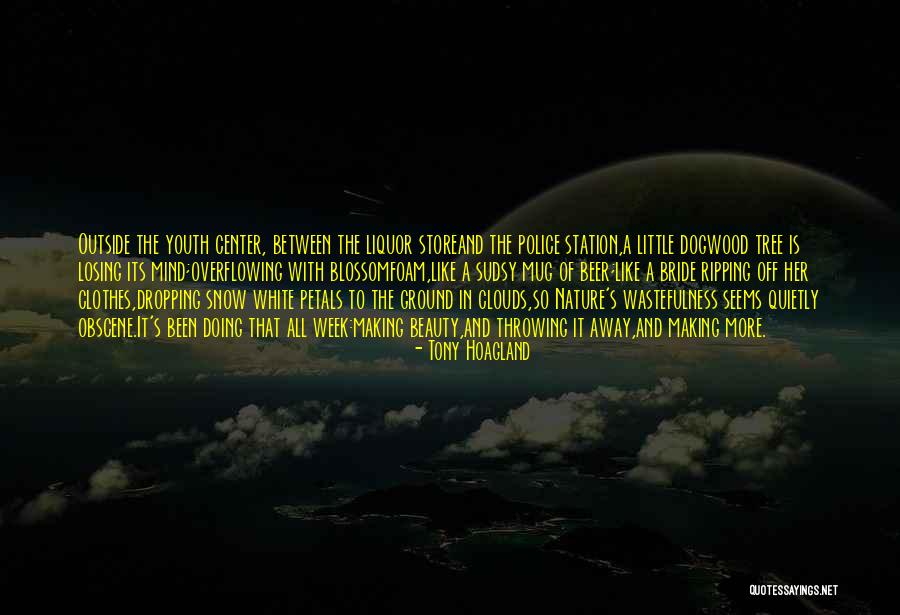 Beauty Of Snow Quotes By Tony Hoagland Beauty Of Snow Quotes By Tony Hoagland