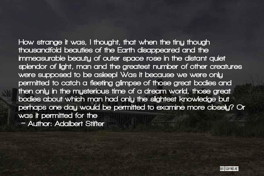 Beauty Of The Earth Quotes By Adalbert Stifter