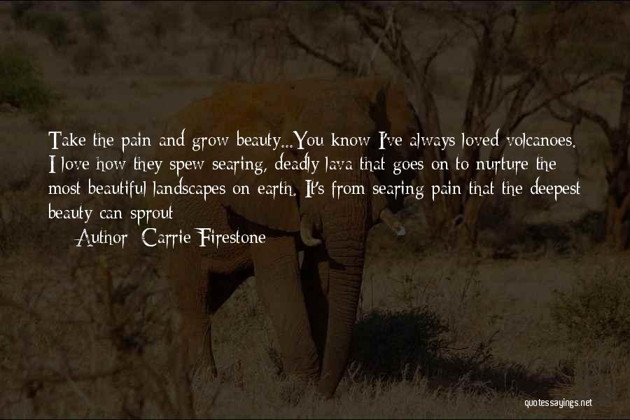 Beauty Of The Earth Quotes By Carrie Firestone