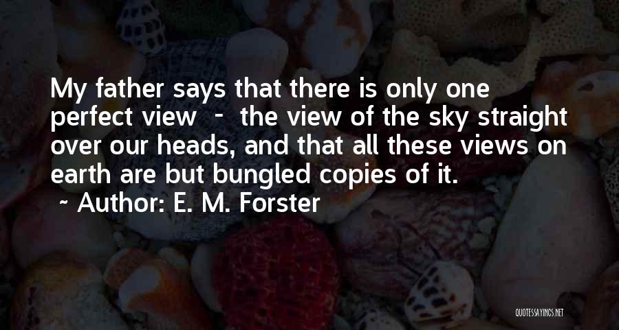Beauty Of The Earth Quotes By E. M. Forster