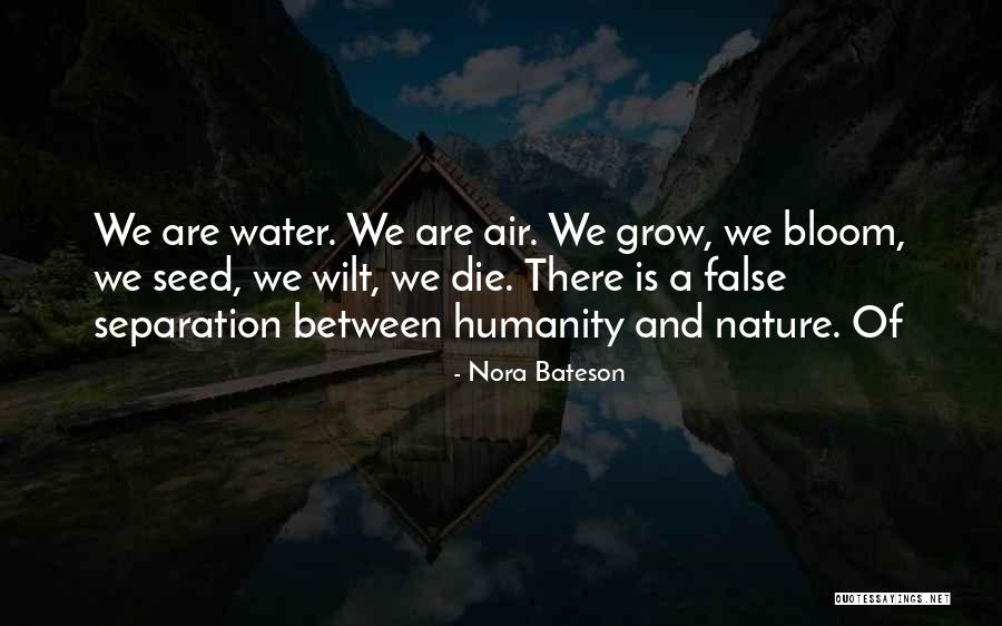 Beauty Of The Ocean Creatures Quotes By Nora Bateson Beauty Of The Ocean Creatures Quotes By Nora Bateson