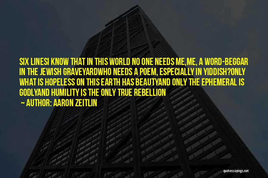 Beauty On Earth Quotes By Aaron Zeitlin