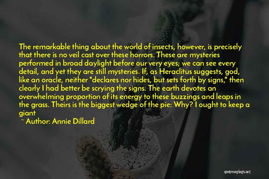 Beauty On Earth Quotes By Annie Dillard