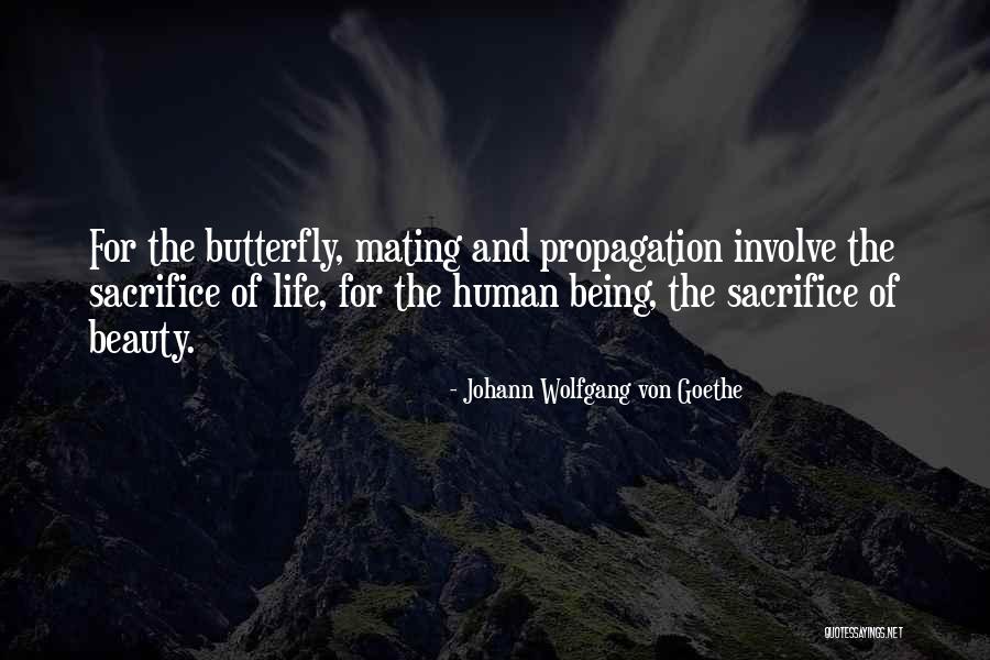 Beauty Sacrifice Quotes By Johann Wolfgang Von Goethe Beauty Sacrifice Quotes By Johann Wolfgang Von Goethe