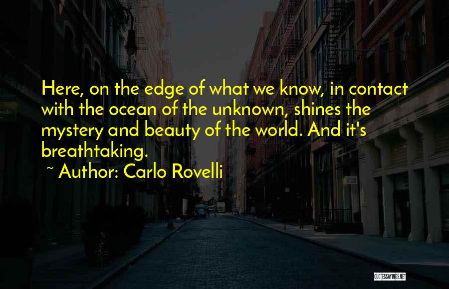 Beauty Shines Quotes By Carlo Rovelli