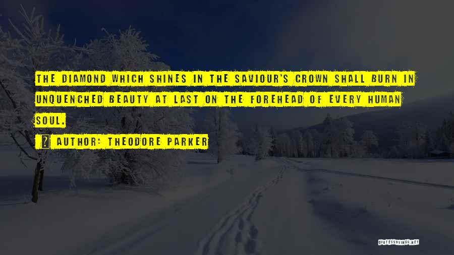Beauty Shines Quotes By Theodore Parker