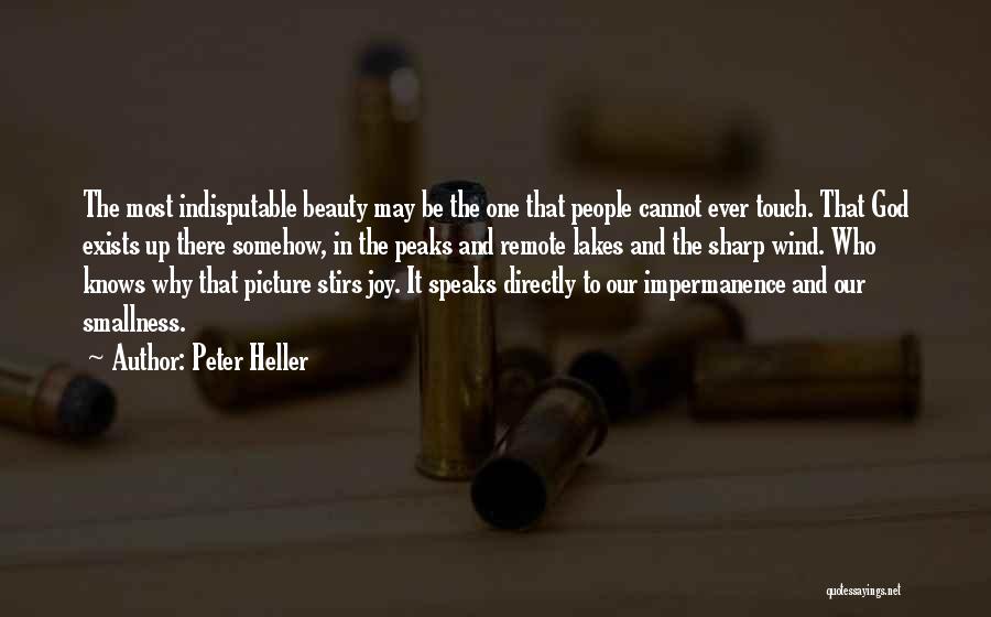 Beauty Speaks Quotes By Peter Heller