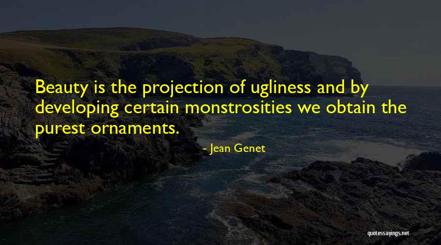 Beauty Ugliness Quotes By Jean Genet