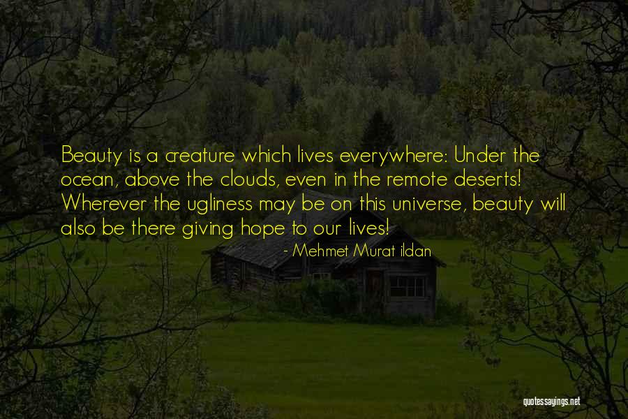 Beauty Ugliness Quotes By Mehmet Murat Ildan