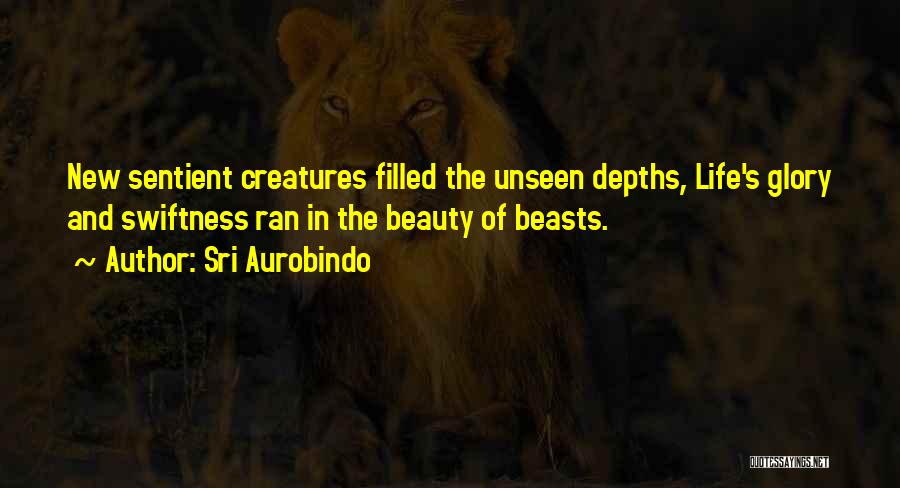 Beauty Unseen Quotes By Sri Aurobindo