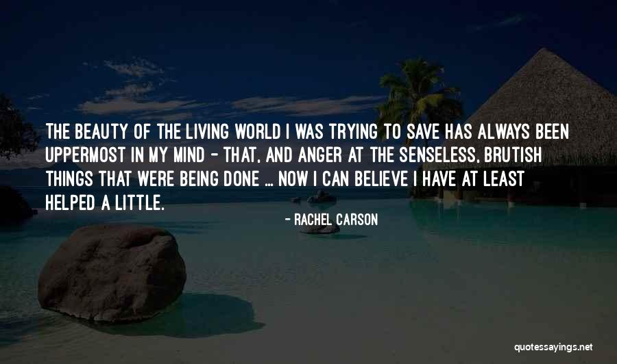 Beauty Will Save The World Quotes By Rachel Carson Beauty Will Save The World Quotes By Rachel Carson