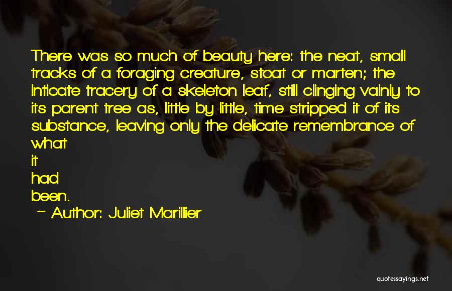 Beauty Without Substance Quotes By Juliet Marillier