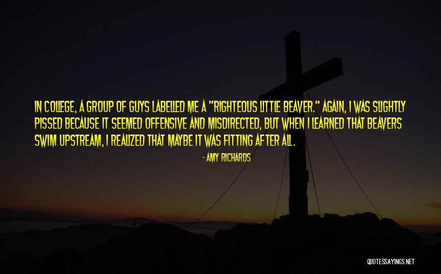 Beaver Quotes By Amy Richards Beaver Quotes By Amy Richards