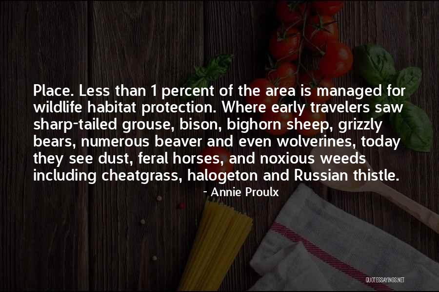 Beaver Quotes By Annie Proulx Beaver Quotes By Annie Proulx