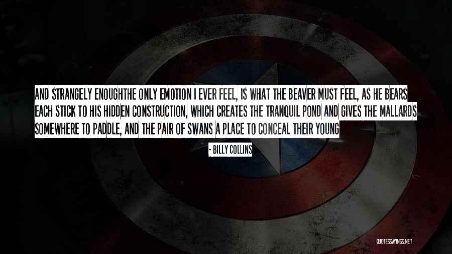 Beaver Quotes By Billy Collins Beaver Quotes By Billy Collins