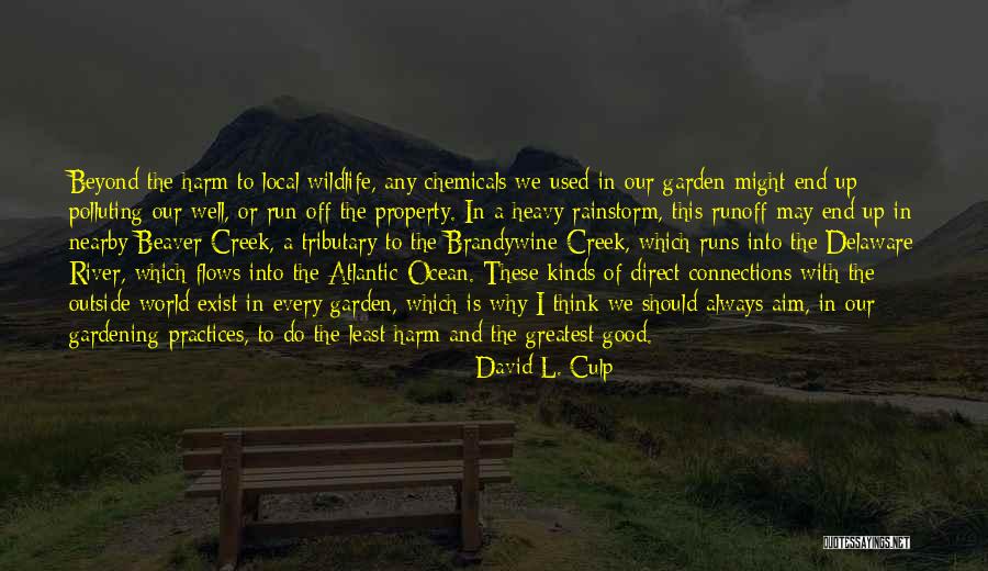 Beaver Quotes By David L. Culp Beaver Quotes By David L. Culp