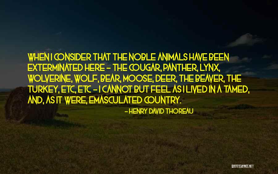 Beaver Quotes By Henry David Thoreau Beaver Quotes By Henry David Thoreau