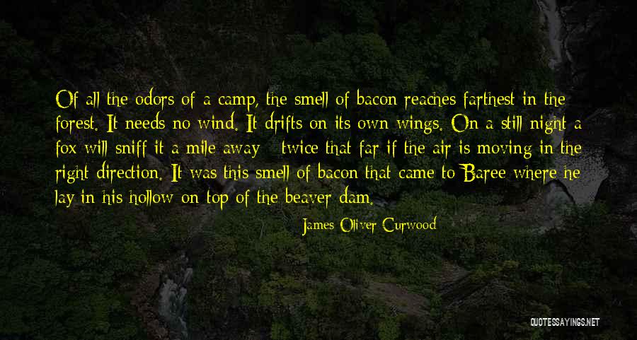 Beaver Quotes By James Oliver Curwood Beaver Quotes By James Oliver Curwood