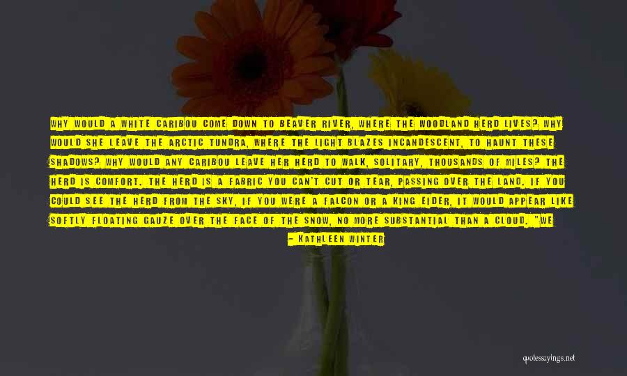 Beaver Quotes By Kathleen Winter Beaver Quotes By Kathleen Winter