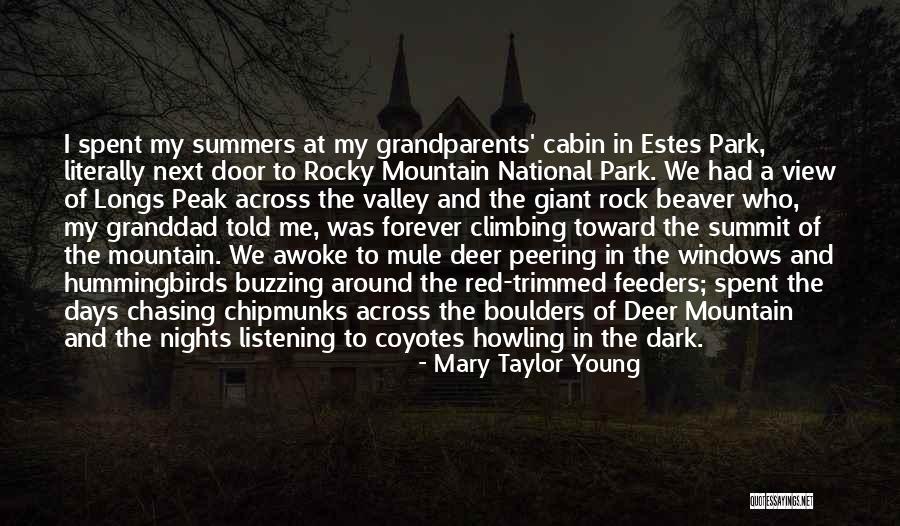 Beaver Quotes By Mary Taylor Young Beaver Quotes By Mary Taylor Young