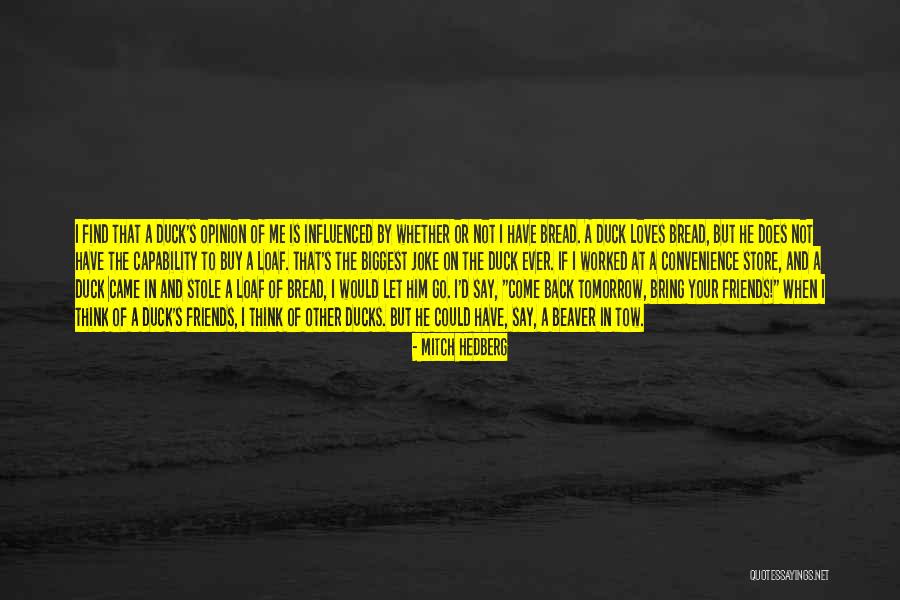 Beaver Quotes By Mitch Hedberg Beaver Quotes By Mitch Hedberg