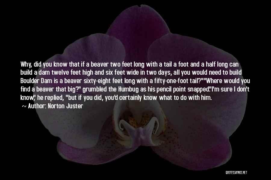 Beaver Quotes By Norton Juster