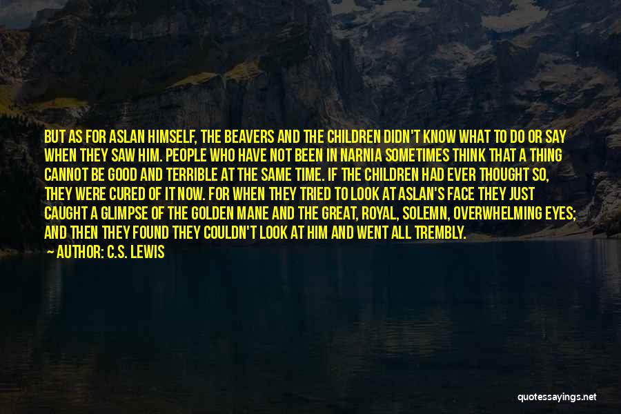 Beavers Quotes By C.S. Lewis