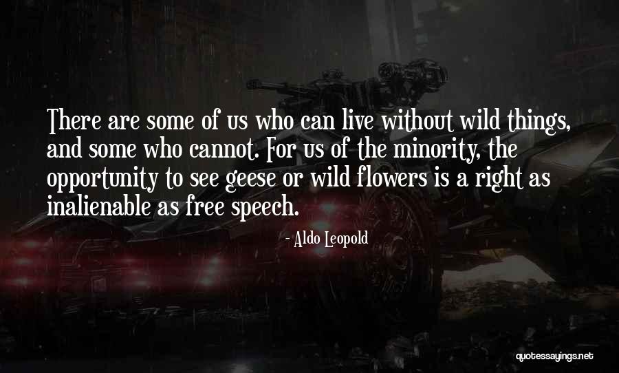 Bebbanburgs Quotes By Aldo Leopold Bebbanburgs Quotes By Aldo Leopold