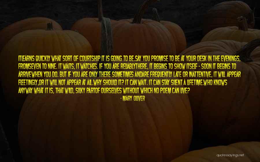 Bebber Kettle Quotes By Mary Oliver Bebber Kettle Quotes By Mary Oliver