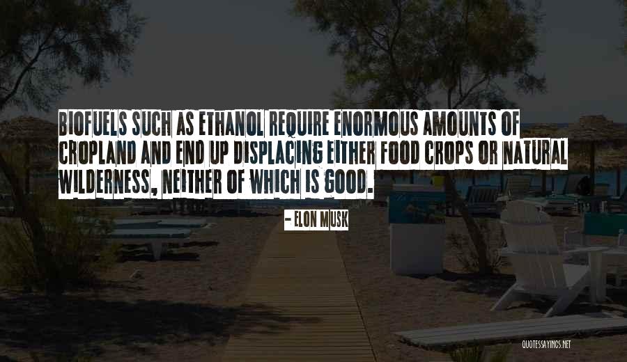 Bebington Quotes By Elon Musk Bebington Quotes By Elon Musk