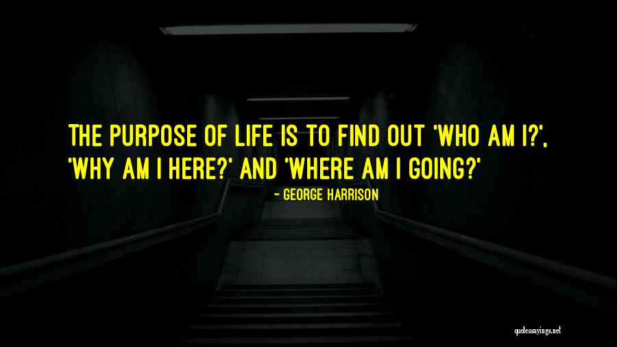 Bebongs Quotes By George Harrison Bebongs Quotes By George Harrison