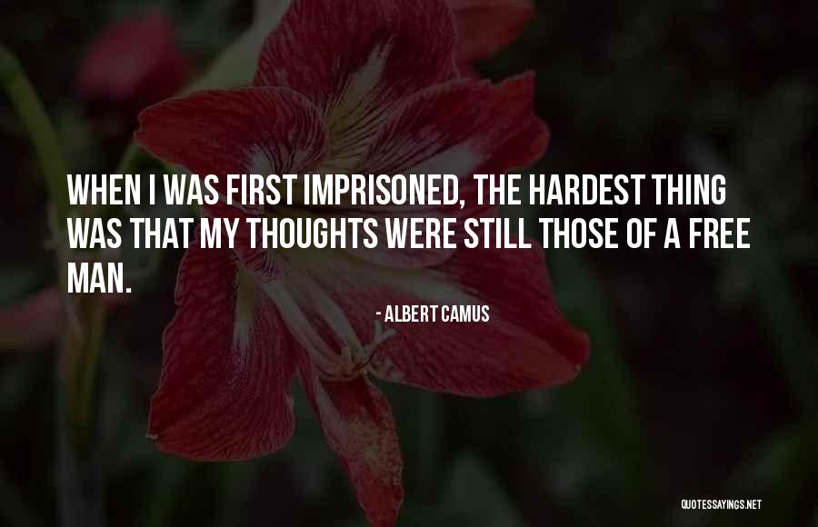 Becalm Balls Quotes By Albert Camus Becalm Balls Quotes By Albert Camus