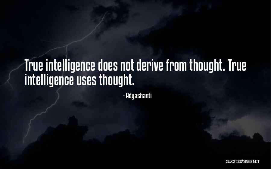 Becaude Quotes By Adyashanti Becaude Quotes By Adyashanti