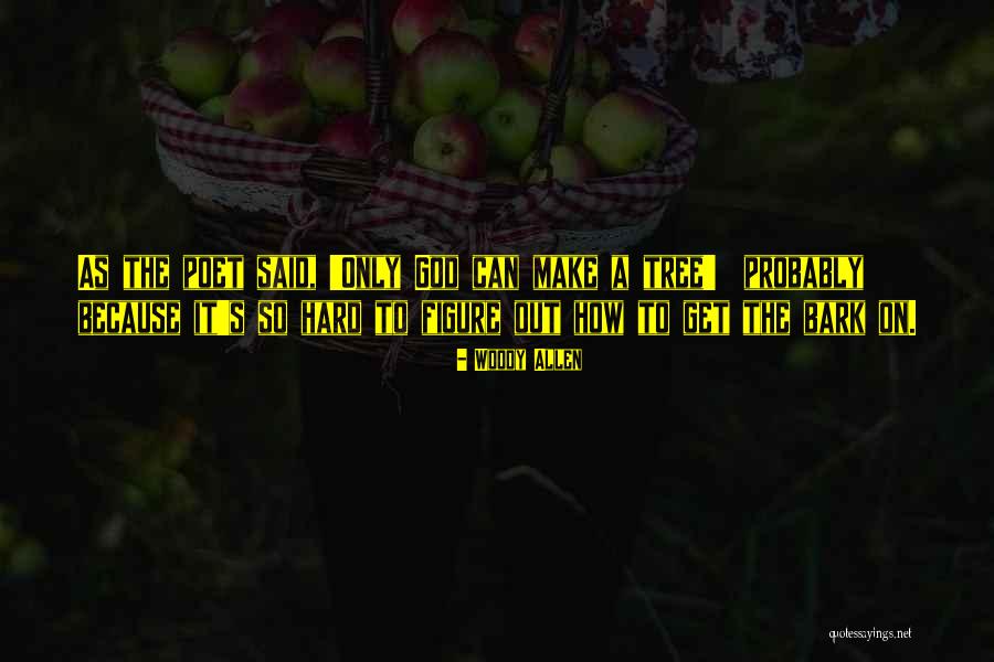 Because God Said So Quotes By Woody Allen Because God Said So Quotes By Woody Allen