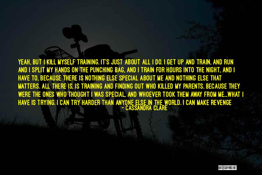 Because It Matters Quotes By Cassandra Clare Because It Matters Quotes By Cassandra Clare