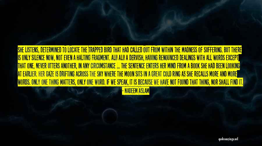 Because It Matters Quotes By Nadeem Aslam Because It Matters Quotes By Nadeem Aslam