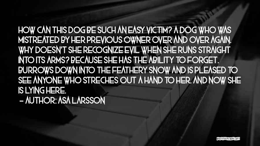 Because She Can Quotes By Asa Larsson