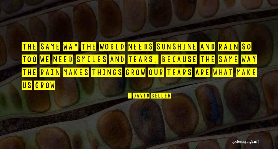 Because When He Smiles Quotes By David Seller Because When He Smiles Quotes By David Seller