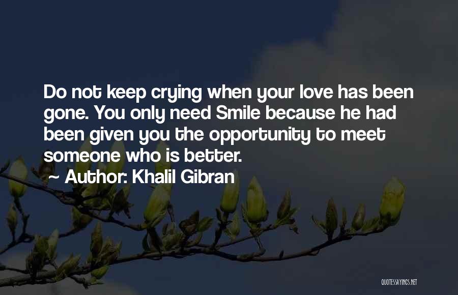 Because When You Smile Quotes By Khalil Gibran