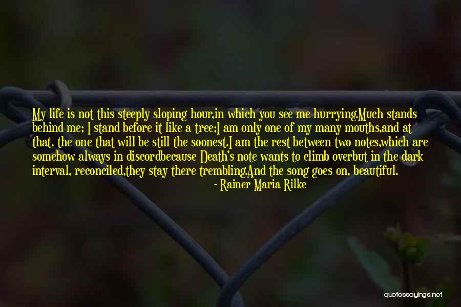 Because You Are Beautiful Quotes By Rainer Maria Rilke Because You Are Beautiful Quotes By Rainer Maria Rilke