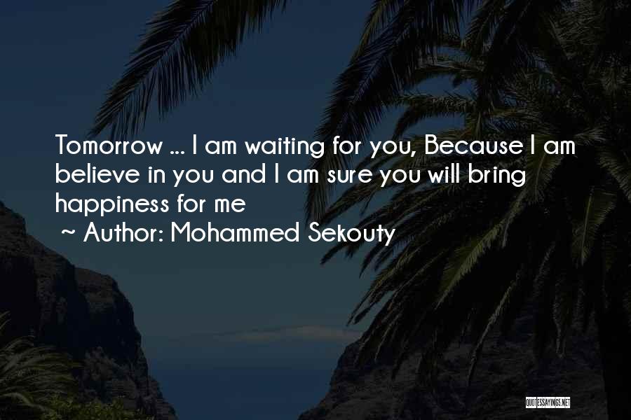 Because You Believe In Me Quotes By Mohammed Sekouty