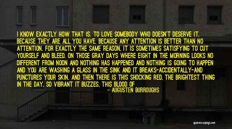 Because You Deserve It Quotes By Augusten Burroughs Because You Deserve It Quotes By Augusten Burroughs