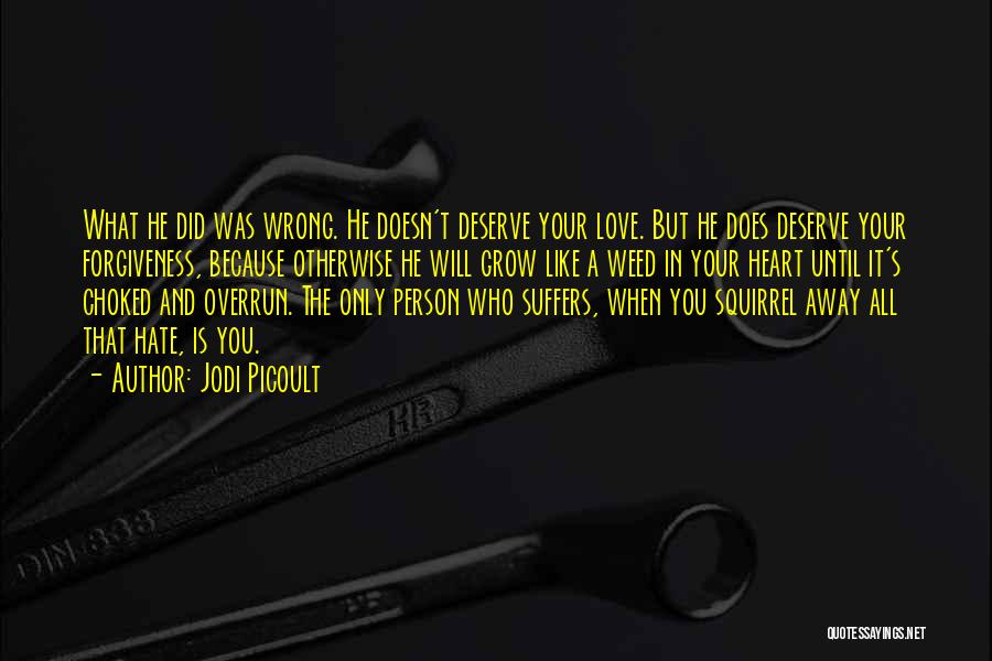 Because You Deserve It Quotes By Jodi Picoult