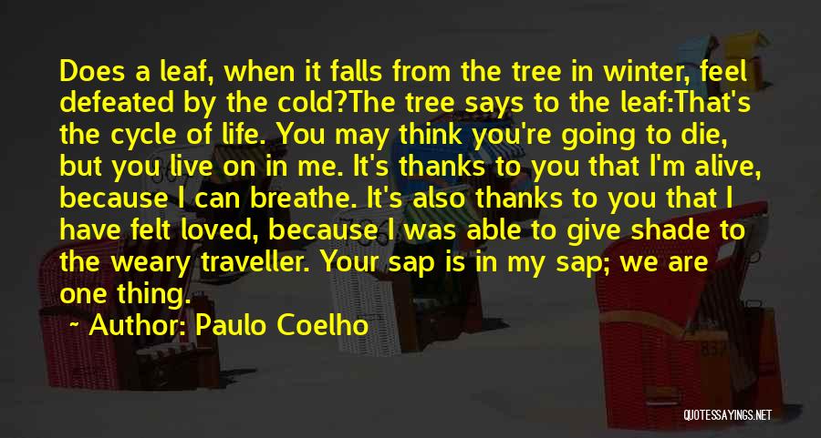 Because You Love Me Quotes By Paulo Coelho