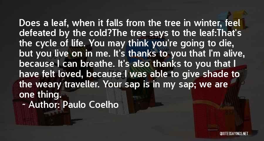 Because You Loved Me Quotes By Paulo Coelho