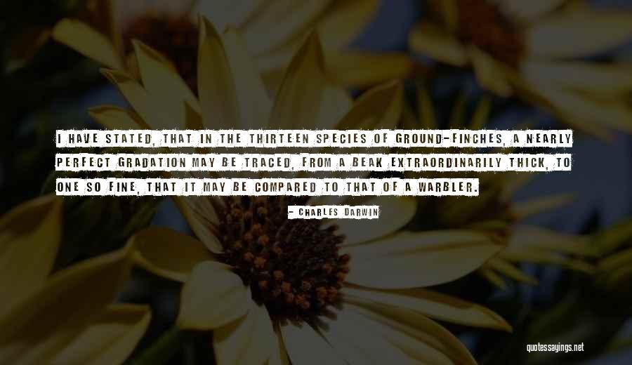 Becchetti Inoxbeck Quotes By Charles Darwin Becchetti Inoxbeck Quotes By Charles Darwin