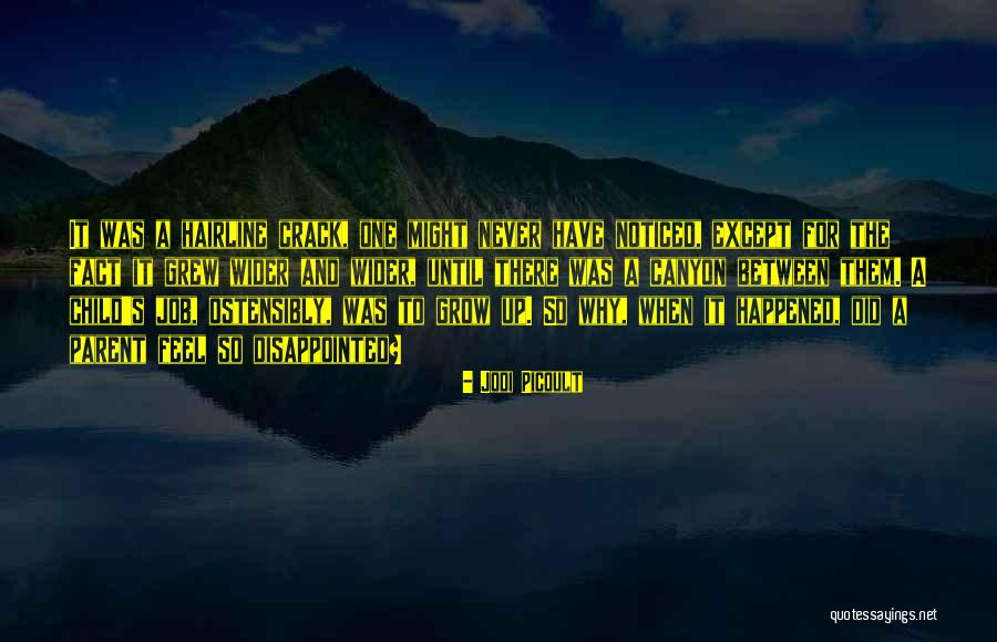 Beckanne Sisk Quotes By Jodi Picoult Beckanne Sisk Quotes By Jodi Picoult