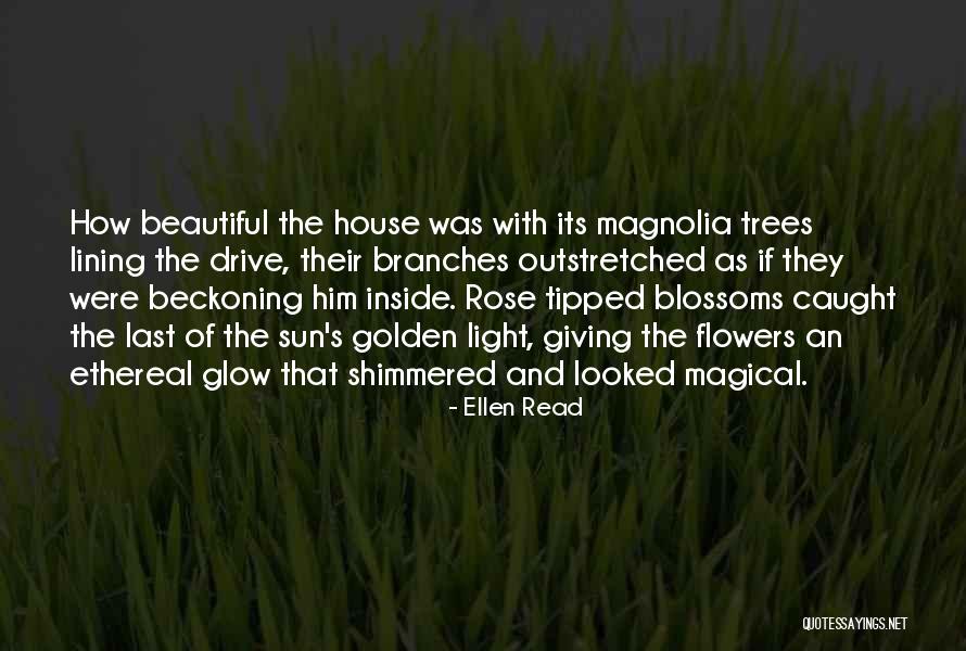 Beckoning Light Quotes By Ellen Read Beckoning Light Quotes By Ellen Read